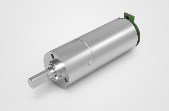 ��������˵��